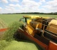 russia boosting africa support with new food shipments media