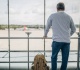 most germans would like to leave country poll