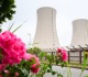 us firms explore reboot of germany s nuclear plants bild