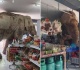 watch wild elephant visit thai grocery store