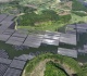 china sets new solar record data