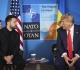 trump denies discussing ceasefire with zelensky
