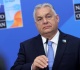 ukraine in nato would mean wwiii orban