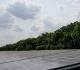 india aiming to become net energy exporter by 2030 minister