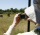 british and new zealand tourists killed in elephant attack