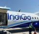 bee attack delays flight in india video