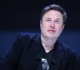musk trashes drooling imbecile polish fm