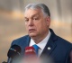 us senators target orban government for standing up to zelensky