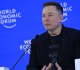 musk sues to oust openai ceo