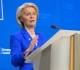 von der leyen immune to democracy afd leader