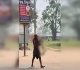 images of indian man carrying remains of his sister to bank spark outrage video