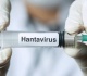 rare virus outbreak kills travelers on atlantic cruise ship