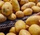 potato futures are soaring should the world be worried