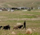 palestinian abducted and restrained in west bank video