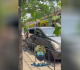 ukrainians confront press gangs in lviv videos