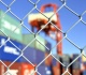 hungary reinstates orban era ban on ukrainian food imports