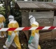 who chief visits ebola hotbed amid alarming disease spread