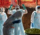 ebola center should not be reserved for americans only virologist