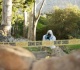 south africa mass shooting leaves 12 dead