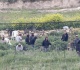 israel to fund extremist settlers media