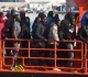 almost 1 million illegal migrants apply for spanish legalization