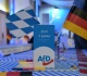 german court rules state can spy on country s most popular party