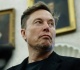 musk backs nuremberg trials for pakistani rape gangs