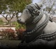 australia to return 3 ancient artefacts to india