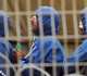 no charges filed after scores of palestinian detainees died in idf custody haaretz