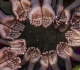 southern african bloc raises alarm over severe el nino