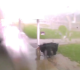lightning strike sends 16 ohio inmates to hospital video