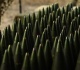ukraine linked ammo plant blows up in italy videos