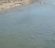 sunken nazi warships resurface in europe amid record heatwave photos