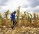 el nino presents acute hunger threat to 49 million people un