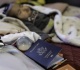 trump renews push to curb birthright citizenship
