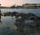 low danube reveals nazi soldiers remains photos