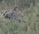 black hawk goes down in colorado video