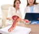 denmark to compensate greenlandic women over forced contraception