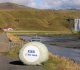 iceland votes on its future in knife edge eu referendum