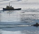 arctic route saves time and costs for indian shippers ceo