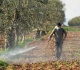 pesticides poison nearly half of world s farmers each year study