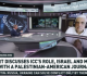 israel stealing un property palestinian american journalist video