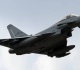nato scrambles jet over flock of birds