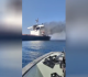 indian sailor killed in torpedo attack