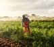 south africa releases state land to black farmers