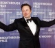 us court halts ai nude image ban challenged by musk