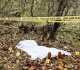 serial killer could be on the loose in us state police