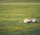 new zealand s fresh rugby blood takes on france