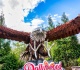 dollywood just opened its biggest attraction in park history