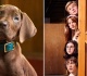 scooby doo origins reveals full cast see who s joining netflix s live action adaptation